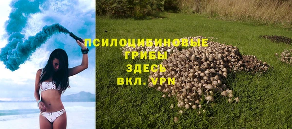 PSILOCYBIN Волоколамск